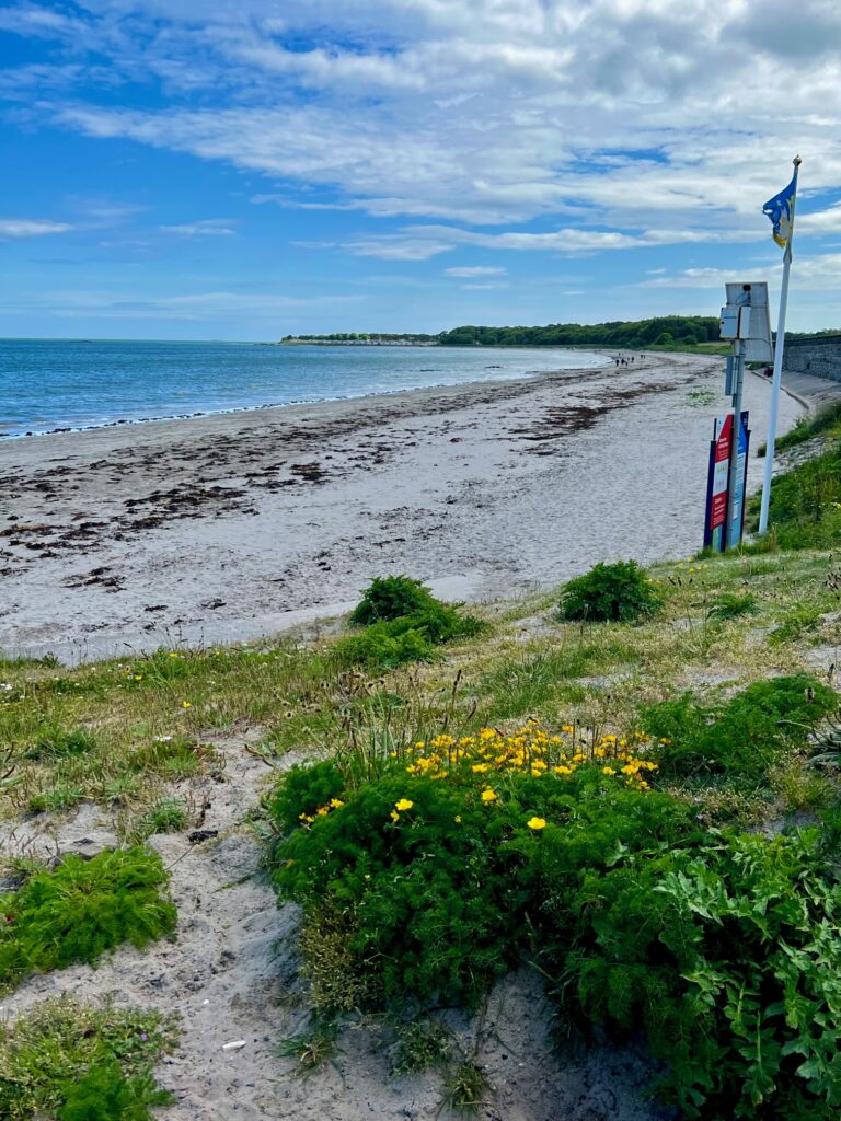 Ballywalter beach