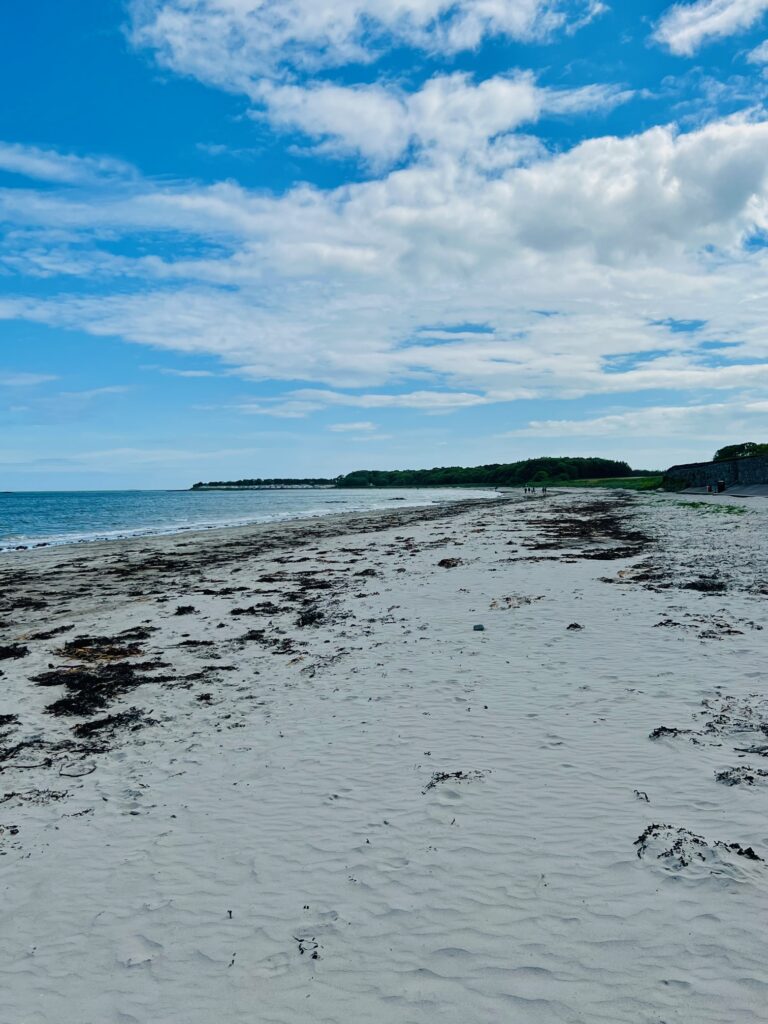 Ballywalter beach