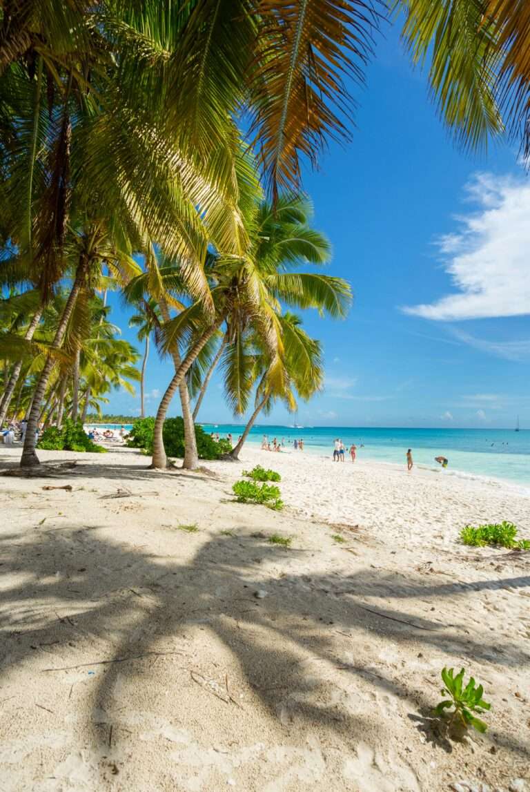 Beach in the Dominican Republic