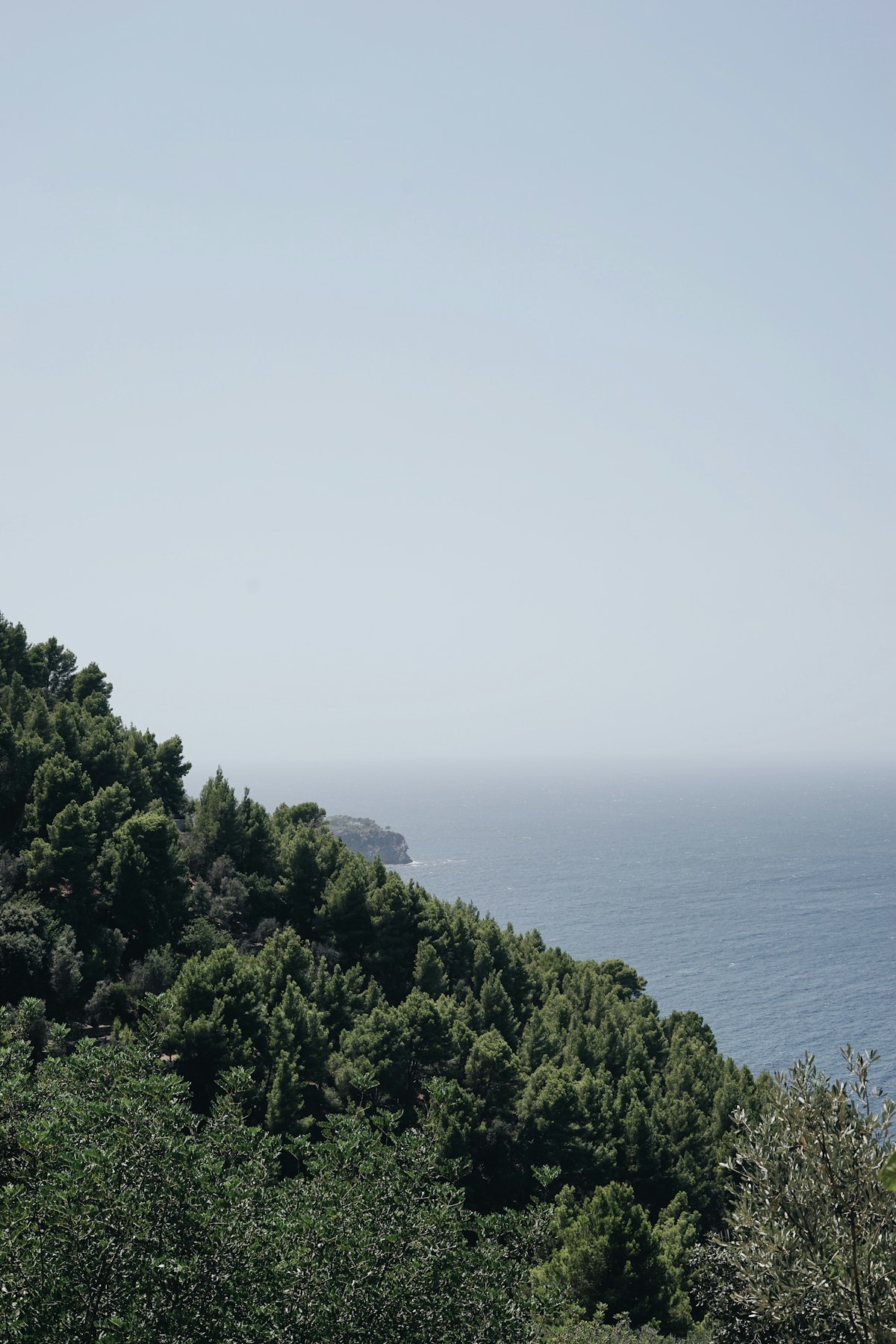Scenic Mediterranean coastline Mallorca with turquoise sea and rugged hillside in warm light